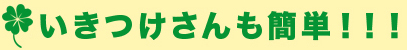 いきつけさんも簡単